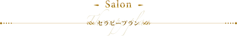 Salon セラピープラン